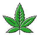 Cannabis leaf icon